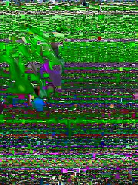 dwulov online show from 15, 6, 2026
