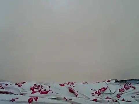Snapshot of Hornysmoker20 chatting on 7, 7, 2026 Hornysmoker20 online show from 7, 7, 2026