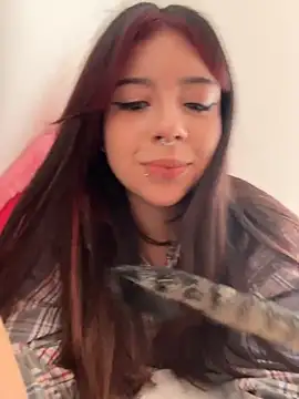 softdoll-  online show from 28, 6, 2026