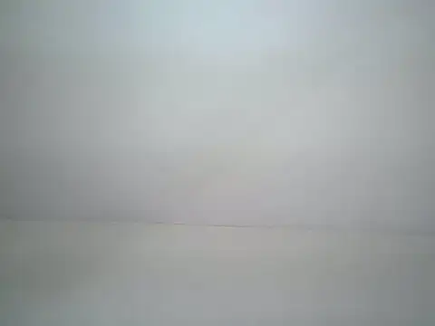 wendy shancy online show from 27, 5, 2026