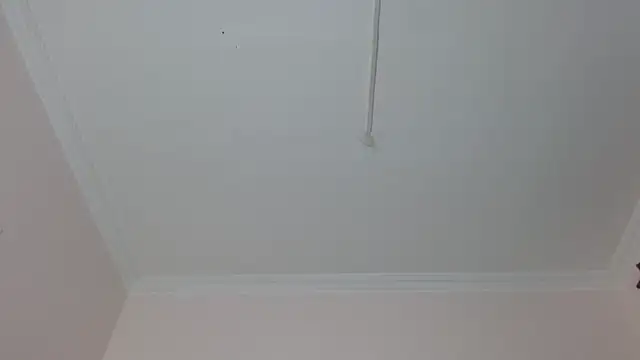 Snapshot of amara_sanchez chatting on 8, 7, 2026 amara sanchez online show from 8, 7, 2026