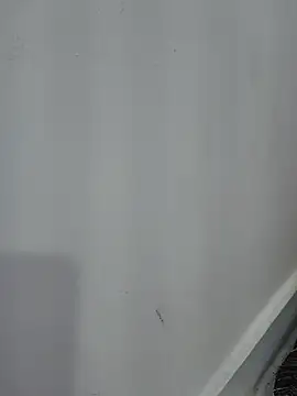 Snapshot of Nimmy_0 chatting on 8, 6, 2026 Nimmy 0 online show from 8, 6, 2026