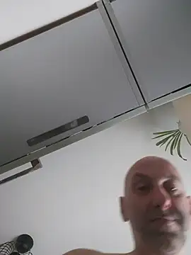 WienBearBi online show from 6, 6, 2026