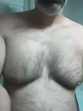WienBearBi online show from 12, 7, 2026