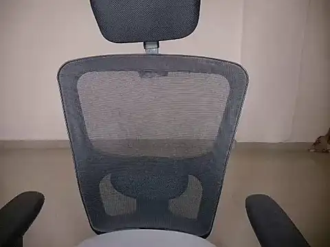Shnya12 online show from 28, 6, 2026