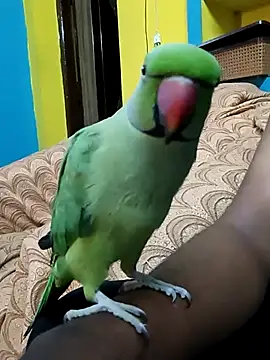 Lawrencedlkk007 online show from 9, 3, 2025