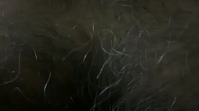 SatBull007 online show from 18, 1, 2025