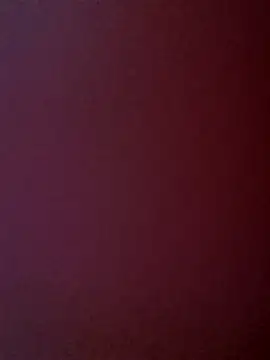 Aqua1984 online show from 5, 7, 2026