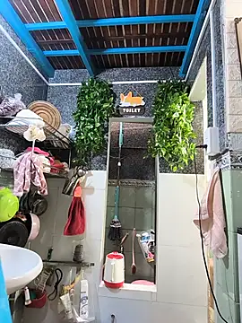  miu  love  online show from 1, 7, 2026