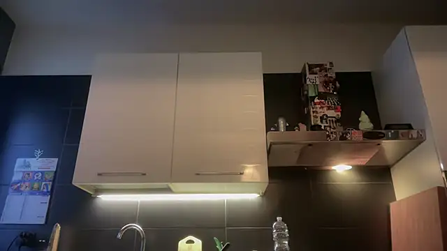 theitalianbear online show from 7, 1, 2026