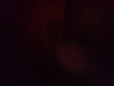Snapshot of LunaVegamx chatting on 2, 8, 2026 LunaVegamx online show from 2, 8, 2026