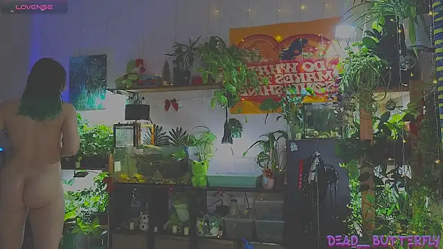 Snapshot of Dead_Butterfly chatting on 12, 1, 2025 Dead Butterfly online show from 12, 1, 2025