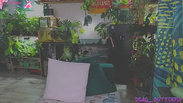 Snapshot of Dead_Butterfly chatting on 16, 2, 2025 Dead Butterfly online show from 16, 2, 2025