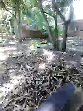 mutrox50 online show from 24, 2, 2025