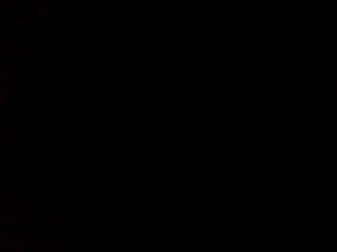 OGXXXOG online show from 12, 3, 2025