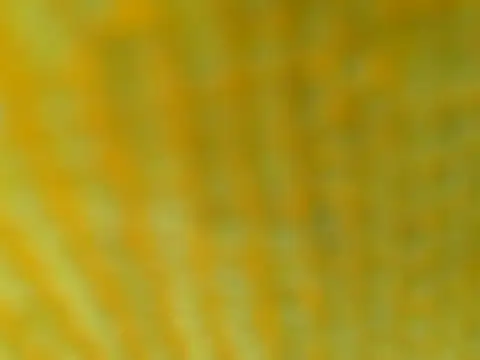 OGXXXOG online show from 16, 3, 2025