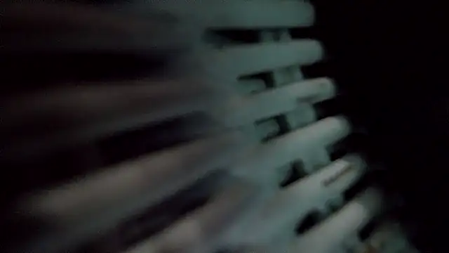 TEXASMARYYYJANE online show from 14, 1, 2025