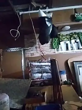 Biknight online show from 29, 3, 2026