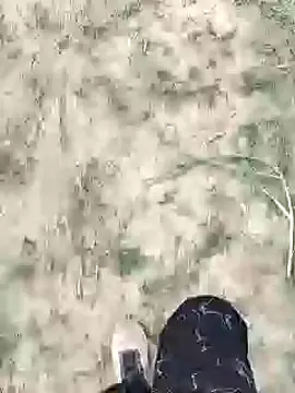 ThethunderPo online show from 18, 1, 2025