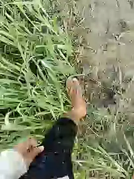 ThethunderPo online show from 19, 2, 2025