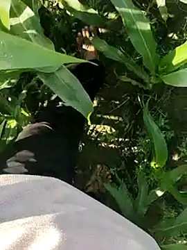 ThethunderPo online show from 19, 3, 2025