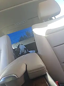 UncutHammer69 online show from 28, 9, 2025