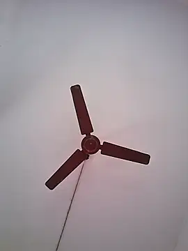 Snapshot of BlackBoy_Kolkata chatting on 19, 6, 2026 BlackBoy Kolkata online show from 19, 6, 2026