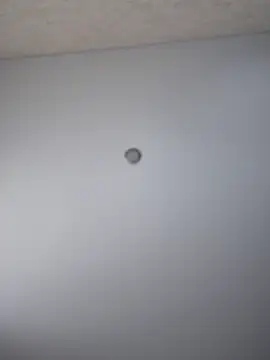 so cutes online show from 17, 3, 2025