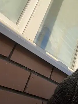 so cutes online show from 19, 3, 2025