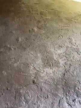 Bengali BULL1 online show from 31, 10, 2025