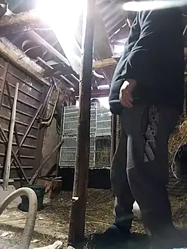 sarpe4 online show from 18, 2, 2026