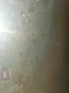 Snapshot of misscectito13 chatting on 18, 11, 2025 misscectito13 online show from 18, 11, 2025