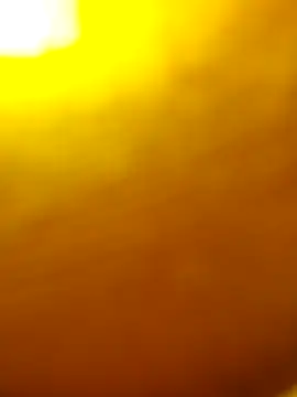 salonidesimaal online show from 1, 2, 2025