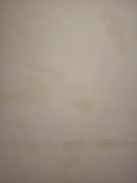 Adivaaa online show from 25, 3, 2026