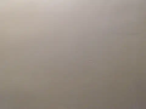 Snapshot of Bigg_Pussyy_Catt chatting on 19, 9, 2025 Bigg Pussyy Catt online show from 19, 9, 2025