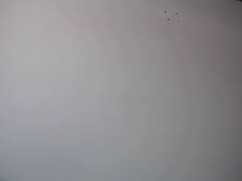 Mia davis01 online show from 12, 1, 2025