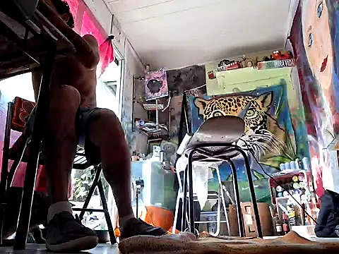 Toycockhot online show from 5, 3, 2025