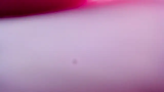 Shyfantasies online show from 7, 4, 2026