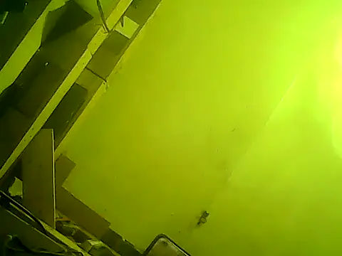 god23free online show from 23, 2, 2025