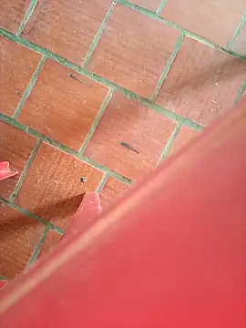 Brenda Berck  online show from 12, 9, 2025