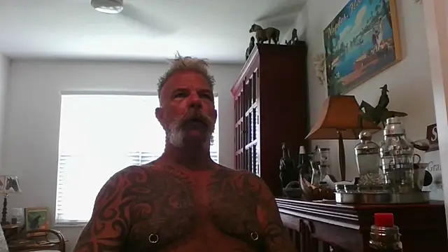 njdbear online show from 30, 9, 2025