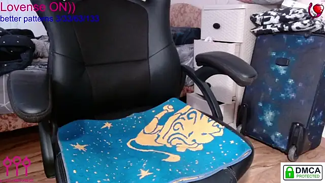 sweet cute cat online show from 4, 2, 2025