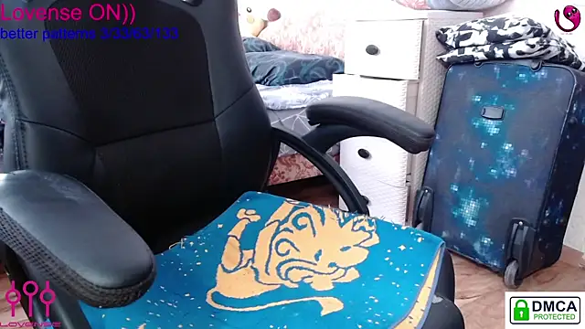 sweet cute cat online show from 13, 2, 2025
