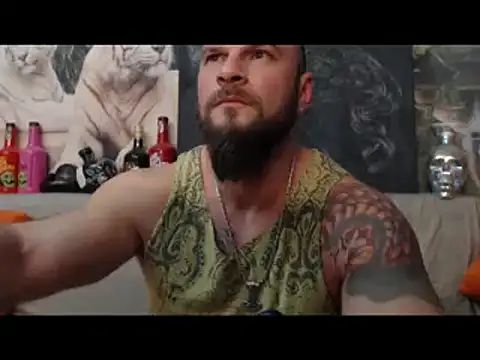 Snapshot of viking_30 chatting on 11, 3, 2025 viking 30 online show from 11, 3, 2025