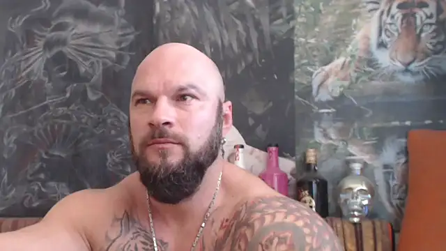 Snapshot of viking_30 chatting on 2, 11, 2025 viking 30 online show from 2, 11, 2025