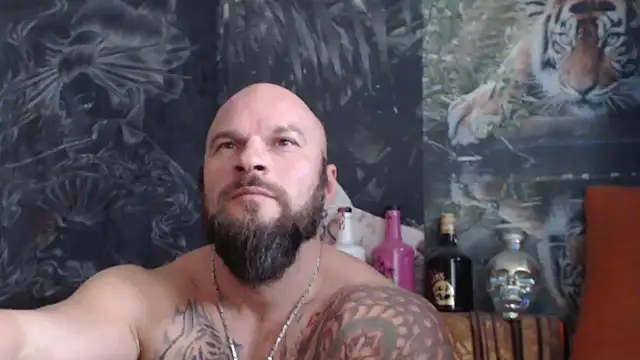 Snapshot of viking_30 chatting on 4, 11, 2025 viking 30 online show from 4, 11, 2025