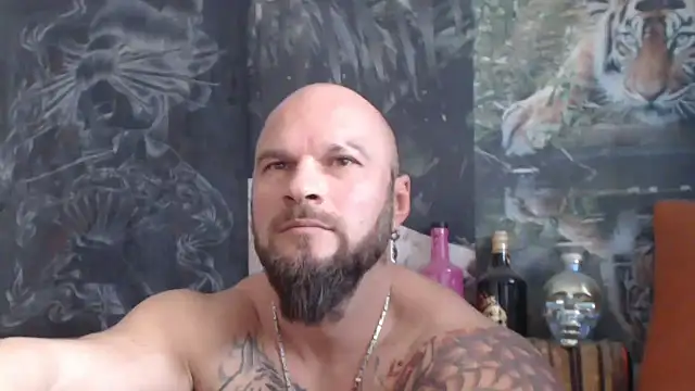 Snapshot of viking_30 chatting on 6, 11, 2025 viking 30 online show from 6, 11, 2025