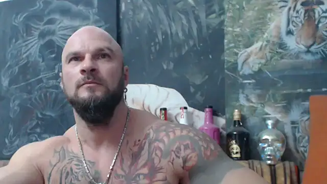 Snapshot of viking_30 chatting on 8, 11, 2025 viking 30 online show from 8, 11, 2025