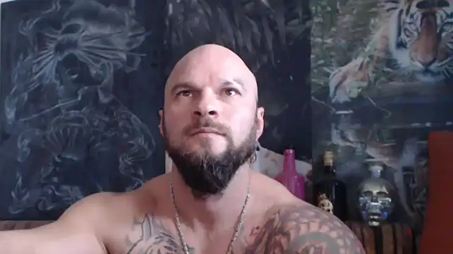 Snapshot of viking_30 chatting on 9, 11, 2025 viking 30 online show from 9, 11, 2025