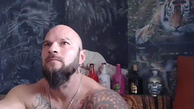 Snapshot of viking_30 chatting on 12, 11, 2025 viking 30 online show from 12, 11, 2025